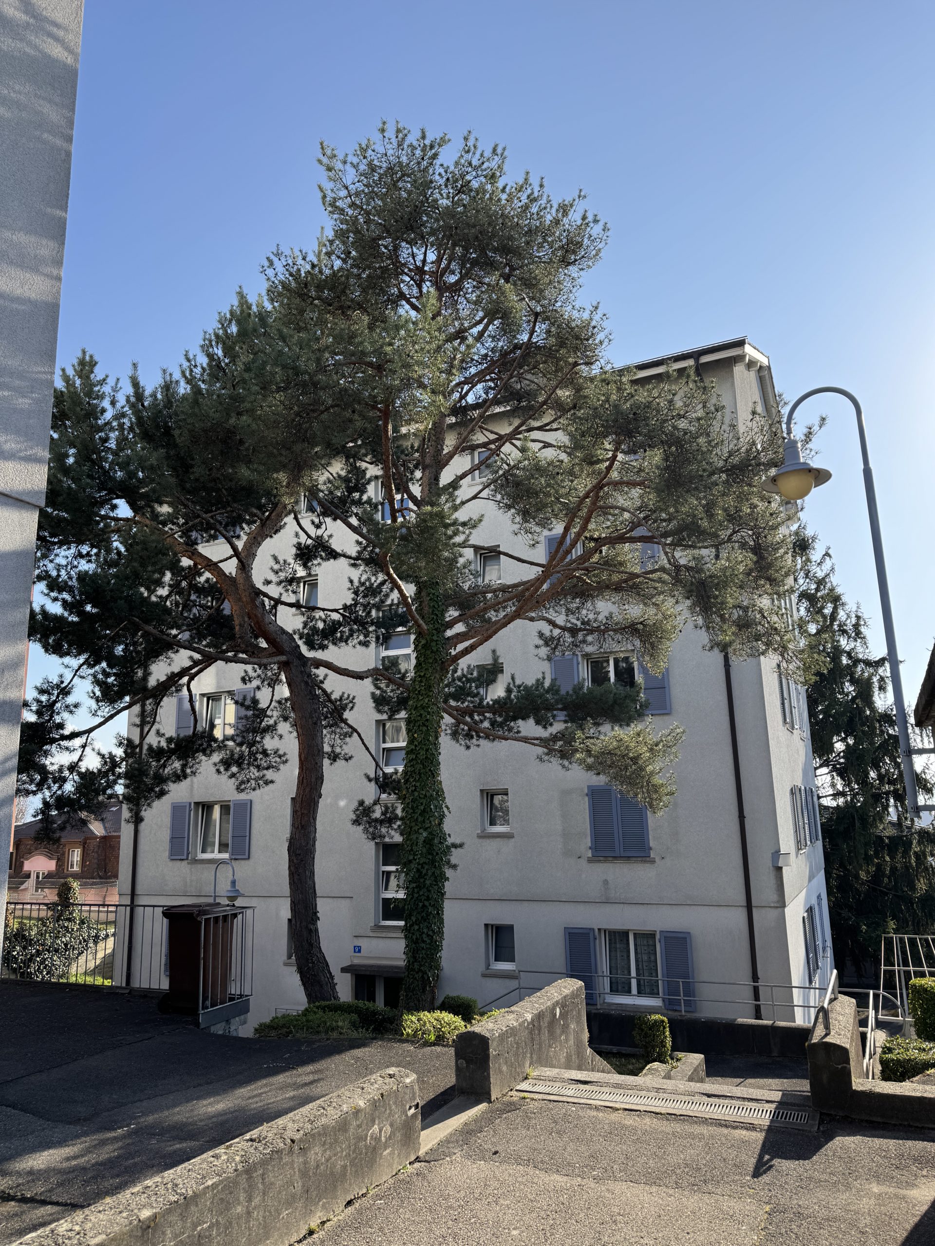 Logement à Montelly 9 ABC à Lausanne, rénovations et description de l'immeuble.
